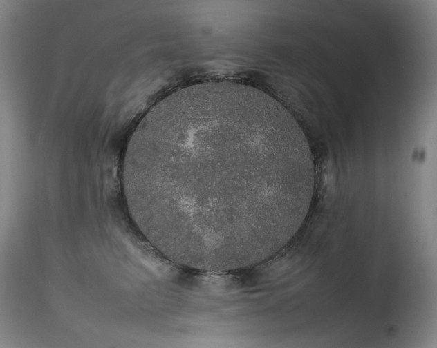 X0000111470615200907131520