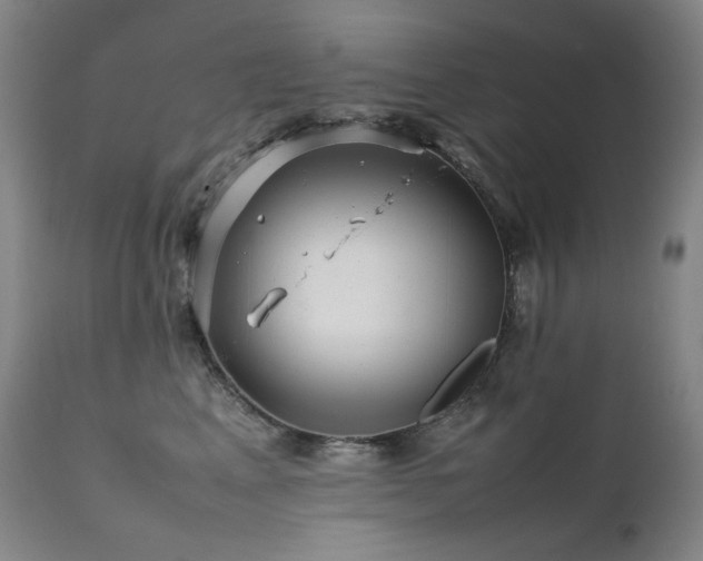 X0000111470617200907131520