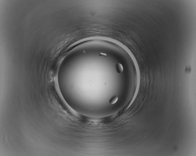 X0000111470621200907131520