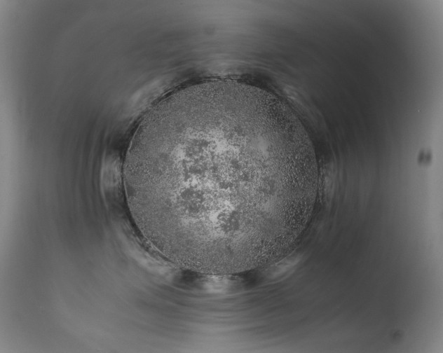 X0000111470623200907131520