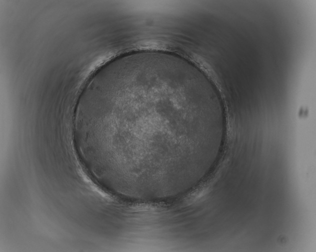 X0000111470625200907131519