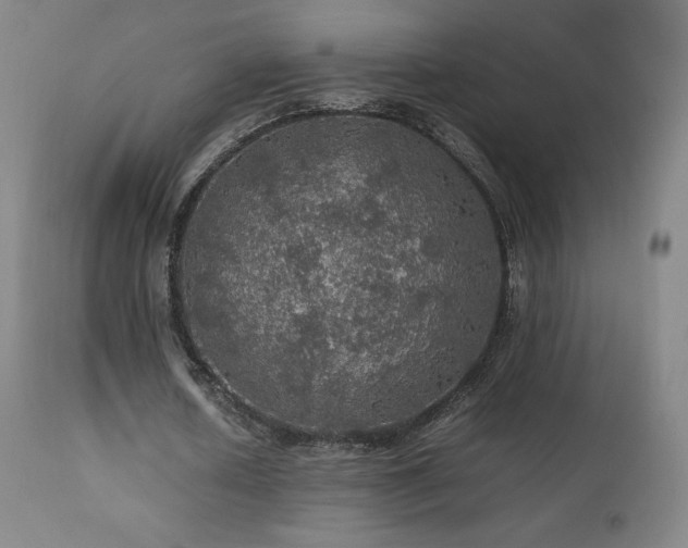 X0000111470626200907131519