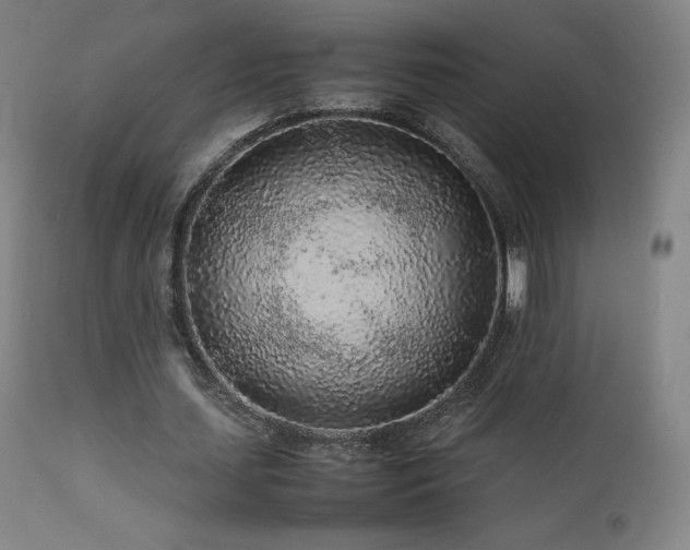 X0000111470627200907131519