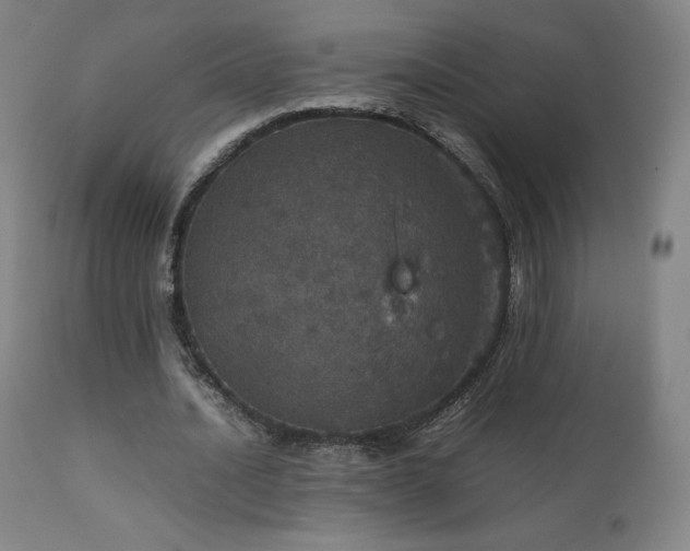 X0000111470628200907131519