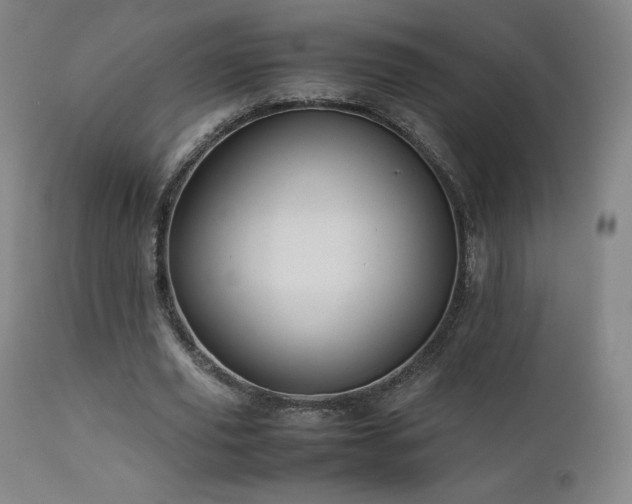 X0000111470629200907131519