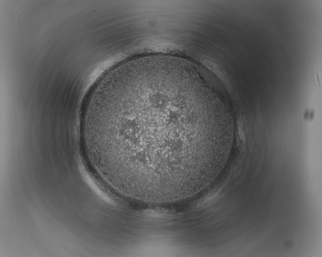 X0000111470630200907131519