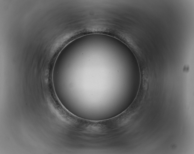 X0000111470631200907131519