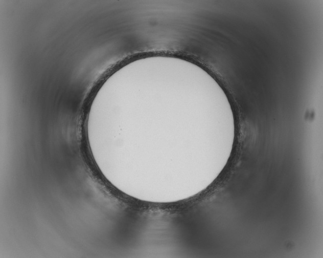 X0000111470632200907131519