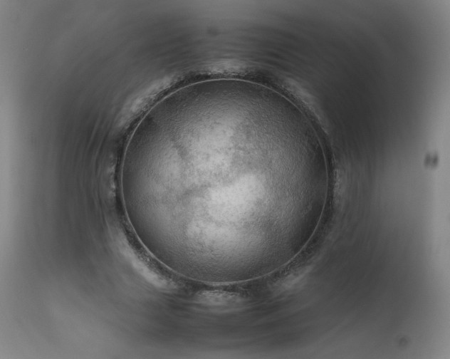 X0000111470633200907131519
