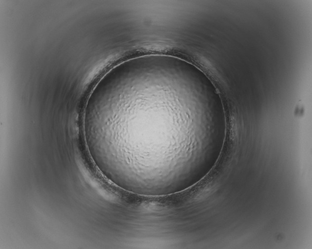 X0000111470634200907131519