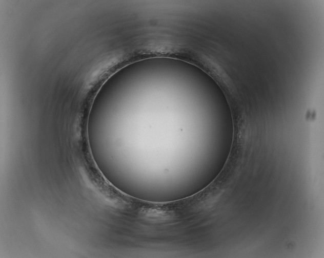 X0000111470635200907131519