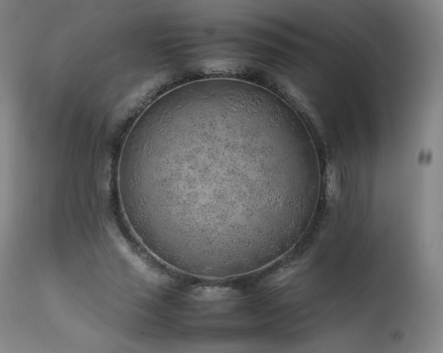 X0000111470637200907131519