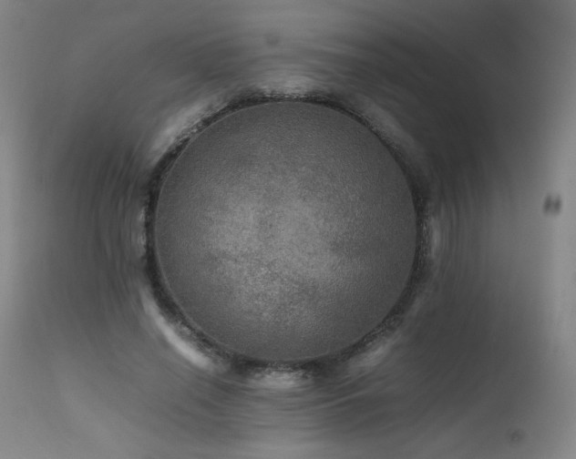 X0000111470638200907131519