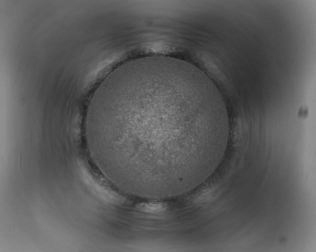 X0000111470639200907131519