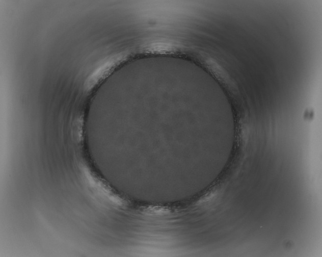 X0000111470640200907131519