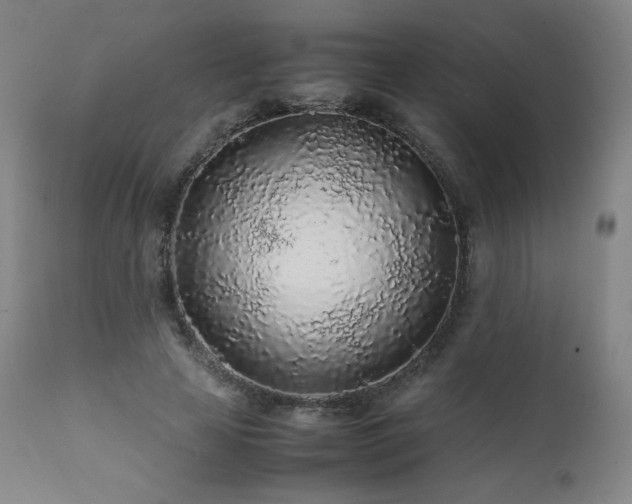 X0000111470641200907131519