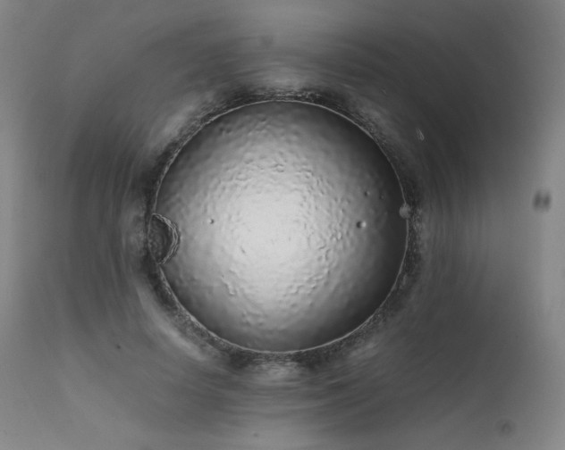 X0000111470642200907131519