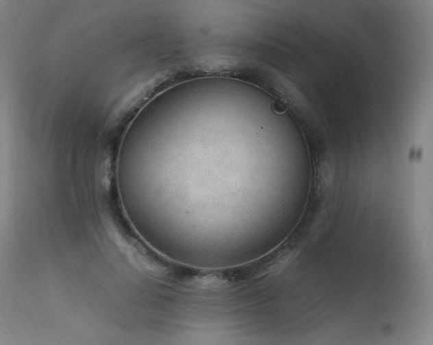 X0000111470644200907131519
