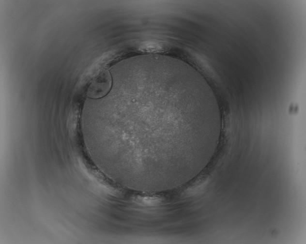 X0000111470645200907131519