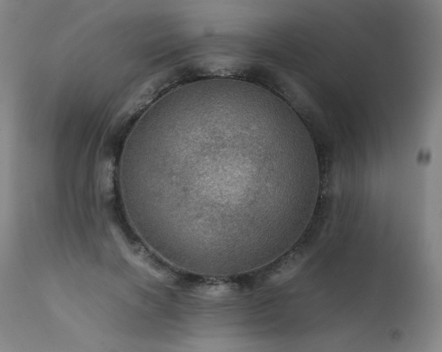 X0000111470646200907131519