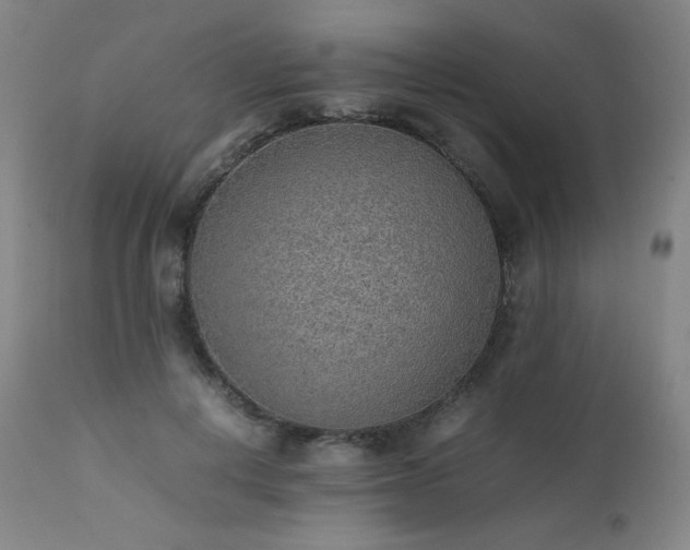 X0000111470648200907131519
