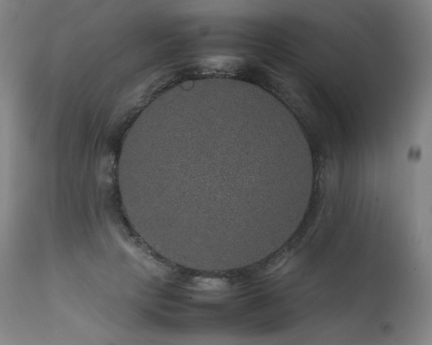 X0000111470649200907131519