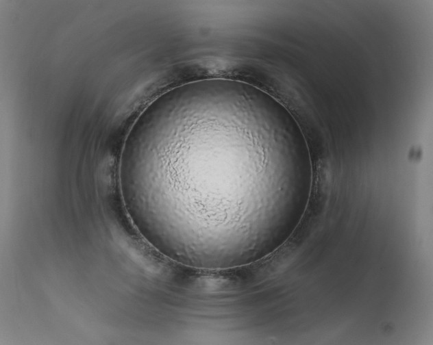 X0000111470650200907131519