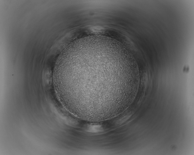 X0000111470651200907131519