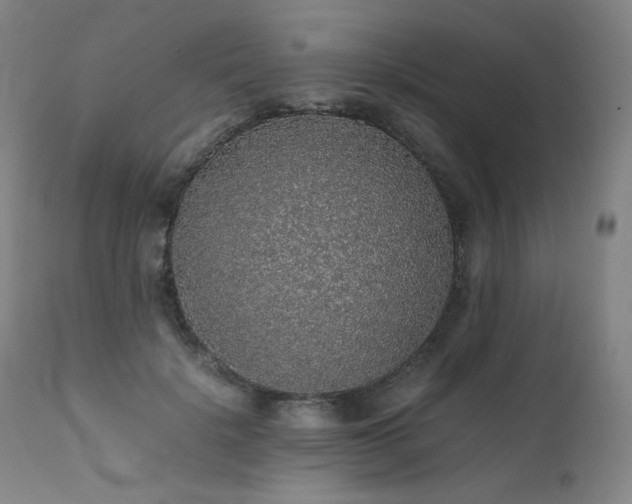 X0000111470652200907131520