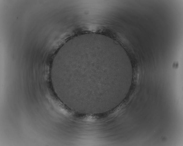 X0000111470656200907131520