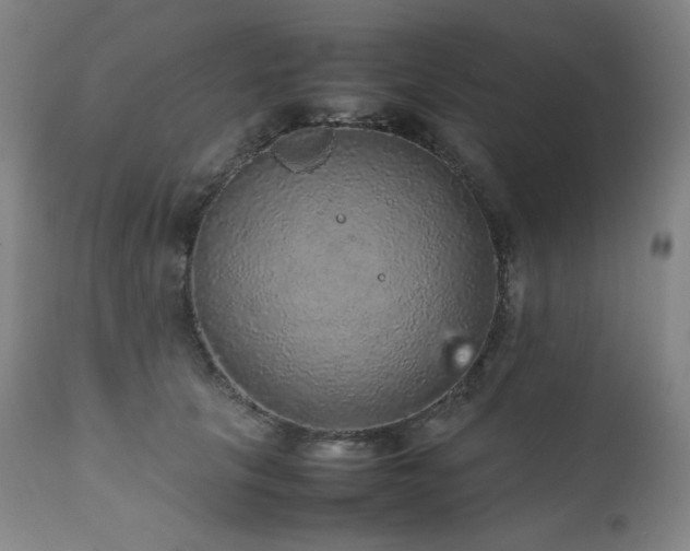 X0000111470657200907131520