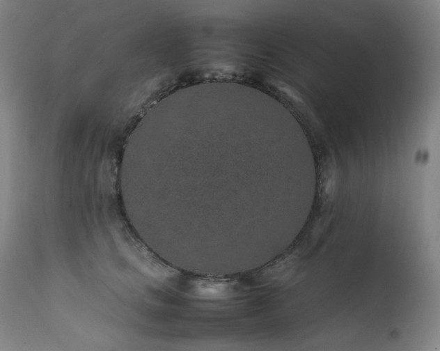 X0000111470661200907131520