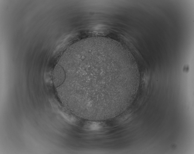 X0000111470663200907131520