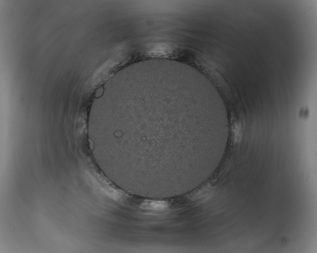 X0000111470665200907131520