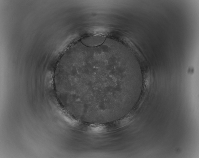 X0000111470667200907131520