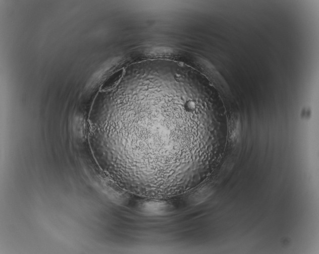 X0000111470669200907131520