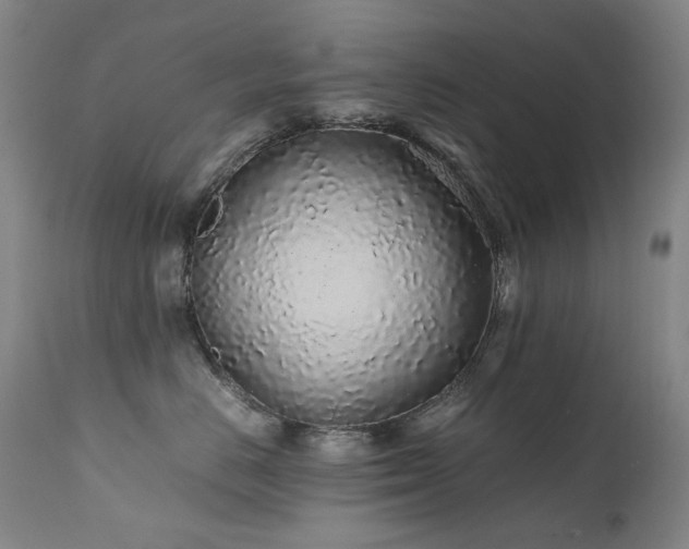X0000111470670200907131520