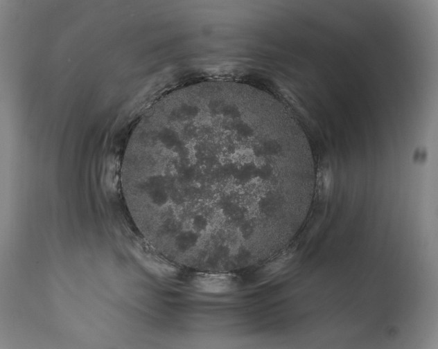 X0000111470671200907131520