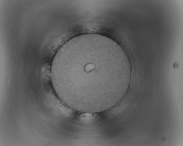 X0000111470672200907131520