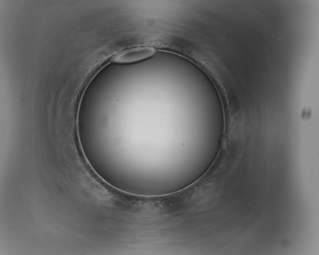 X0000111470673200907131519