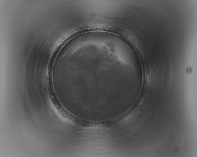 X0000111470674200907131519