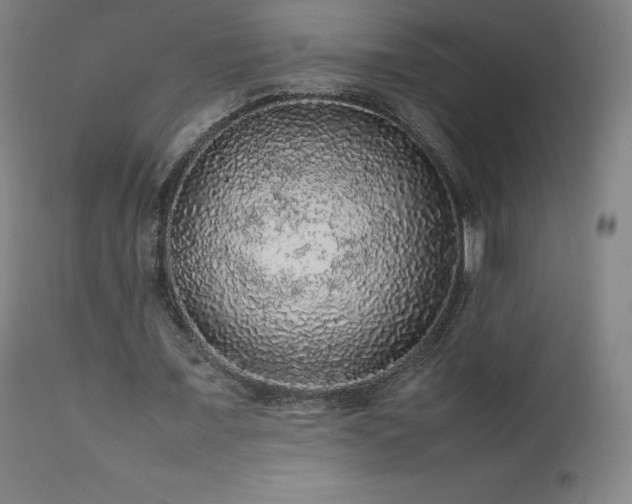 X0000111470675200907131519