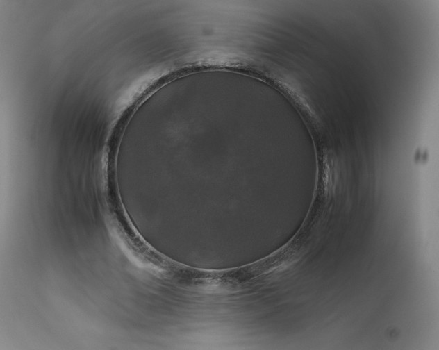 X0000111470678200907131519