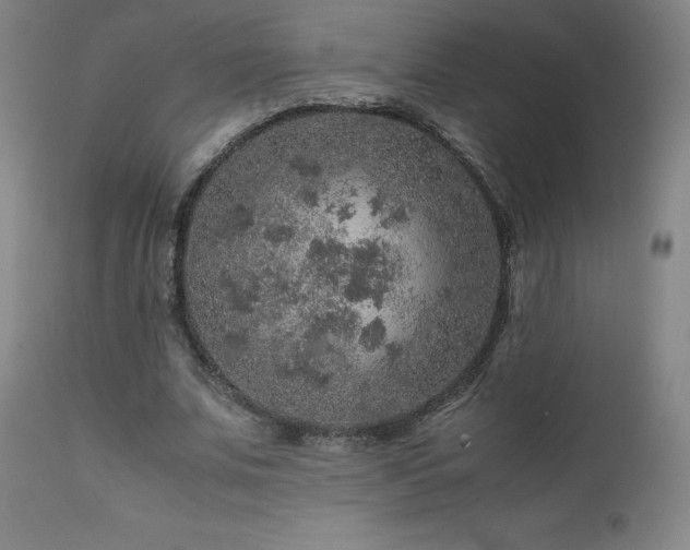 X0000111470679200907131519