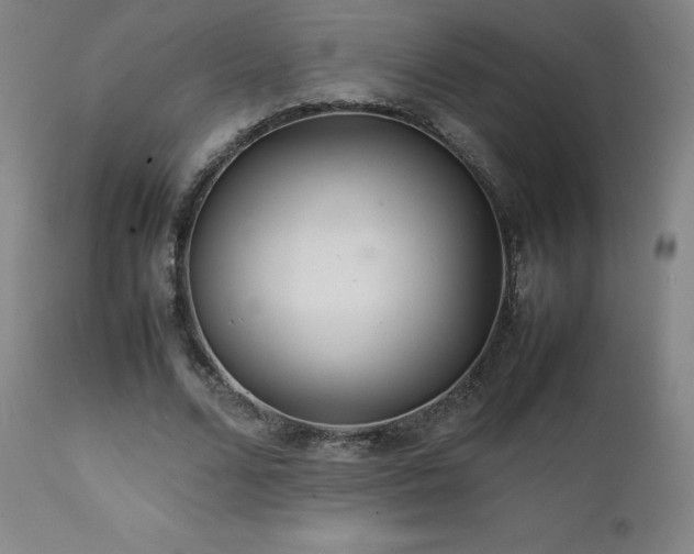 X0000111470680200907131519