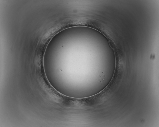 X0000111470681200907131519