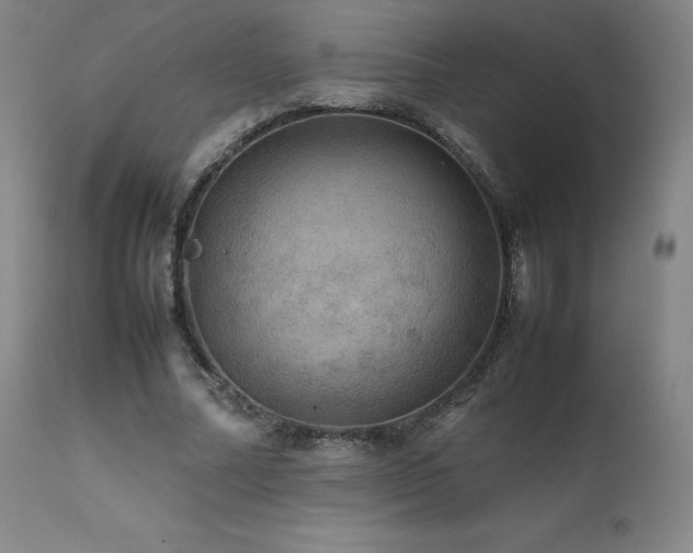 X0000111470682200907131519