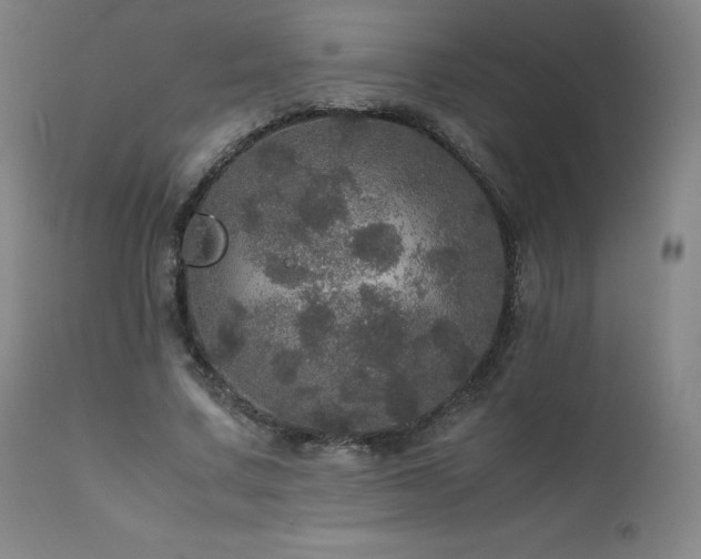 X0000111470683200907131519