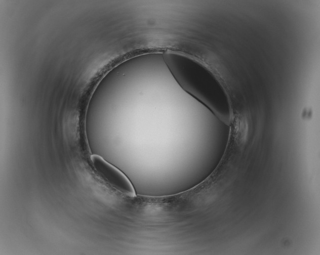 X0000111470684200907131519