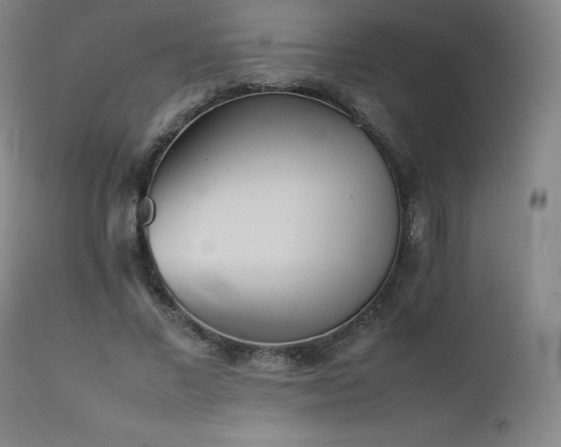 X0000111470685200907131519